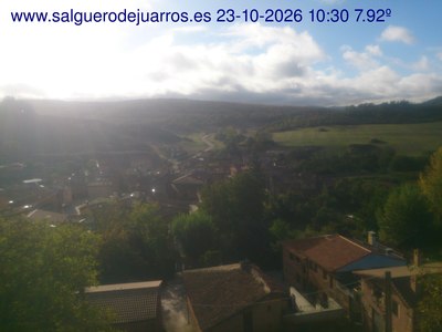 Recorre hacia atrás las últimas 24 horas
