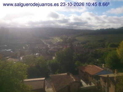 Recorre hacia atrás las últimas 24 horas
