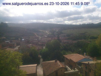 Recorre hacia atrás las últimas 24 horas
