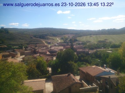 Recorre hacia atrás las últimas 24 horas
