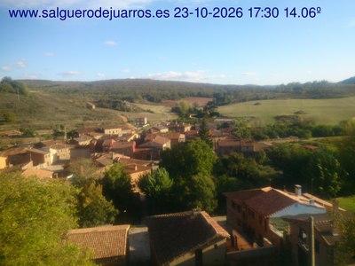 Recorre hacia atrás las últimas 24 horas
