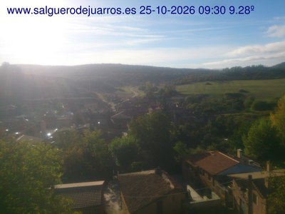 Recorre hacia atrás las últimas 24 horas
