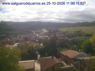 Recorre hacia atrás las últimas 24 horas
