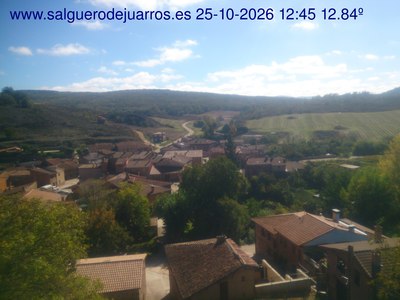 Recorre hacia atrás las últimas 24 horas
