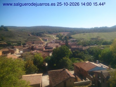 Recorre hacia atrás las últimas 24 horas
