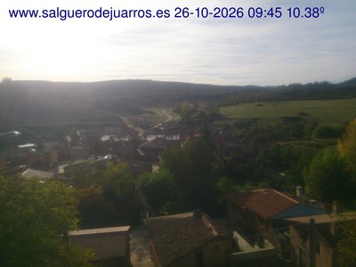 Recorre hacia atrás las últimas 24 horas
