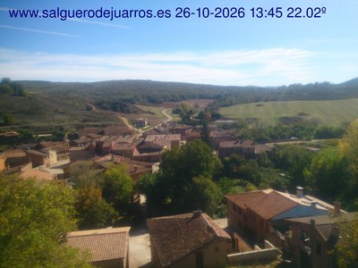 Recorre hacia atrás las últimas 24 horas
