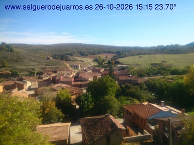 Recorre hacia atrás las últimas 24 horas
