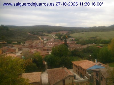 Recorre hacia atrás las últimas 24 horas
