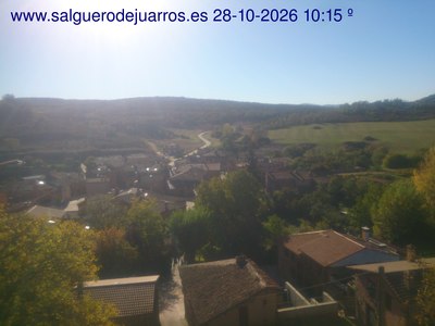 Recorre hacia atrás las últimas 24 horas

