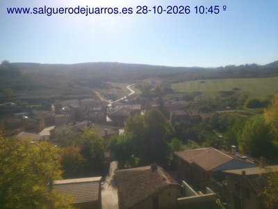 Recorre hacia atrás las últimas 24 horas
