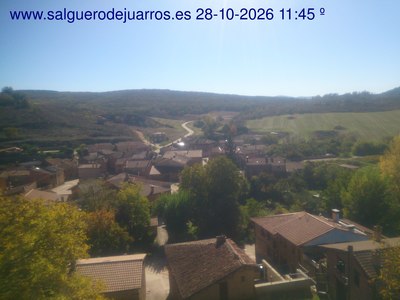 Recorre hacia atrás las últimas 24 horas

