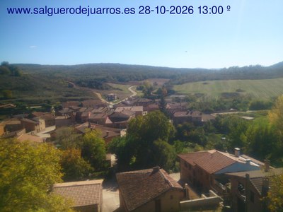 Recorre hacia atrás las últimas 24 horas
