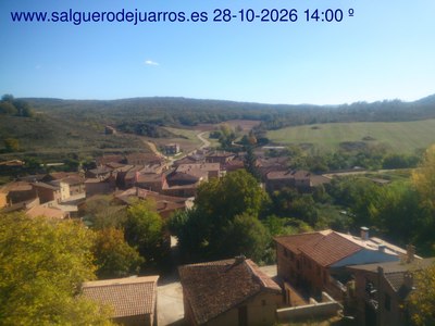 Recorre hacia atrás las últimas 24 horas
