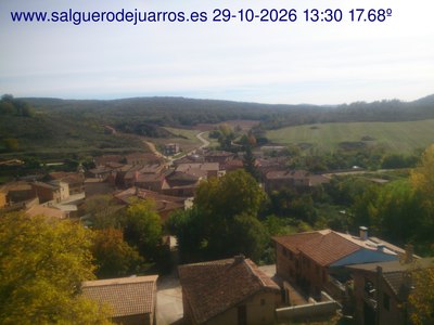 Recorre hacia atrás las últimas 24 horas
