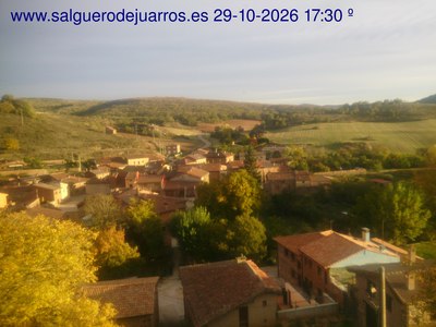 Recorre hacia atrás las últimas 24 horas
