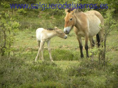 Siempre al lado de su madre
