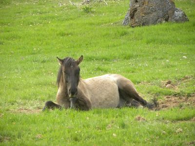 Disfrutando en nuestros montes
