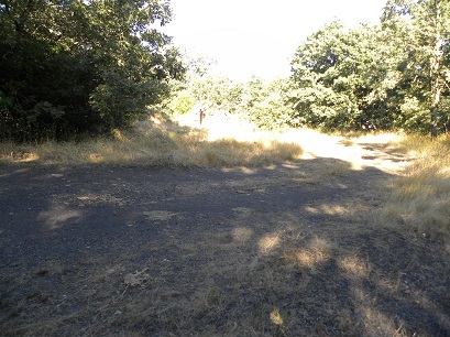 Restos carbón Choza de los Baldes